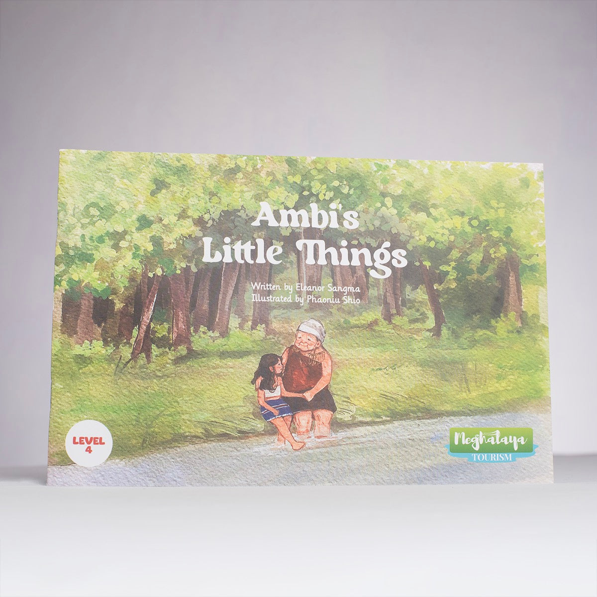 Ambi’s Little Things