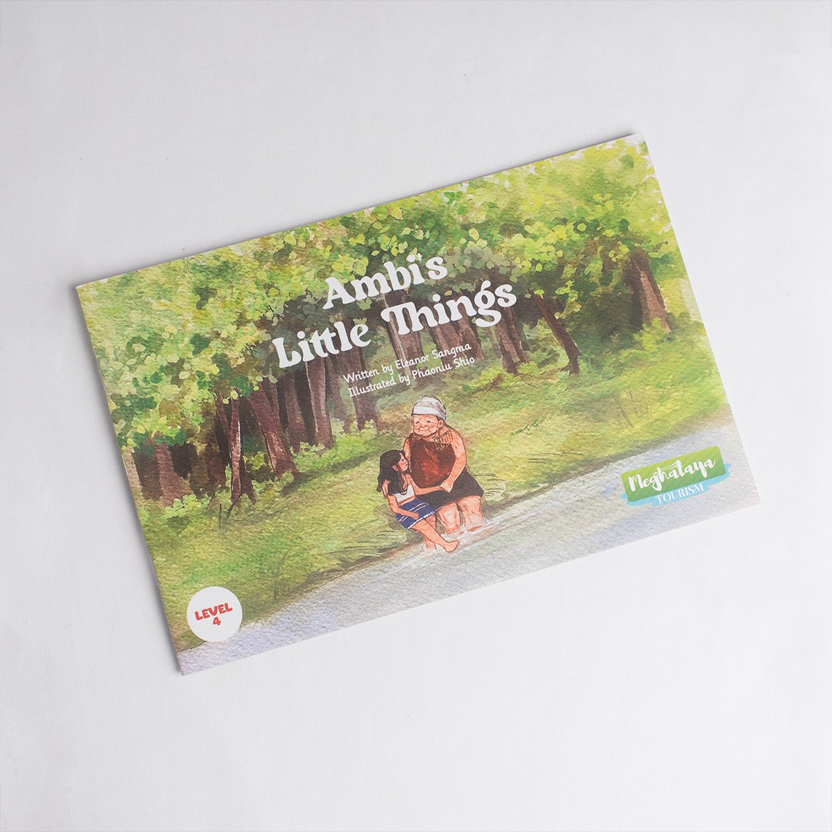 Ambi’s Little Things