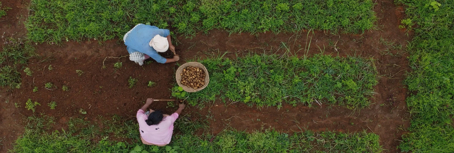 Handpicked